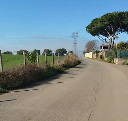 Selvotta *