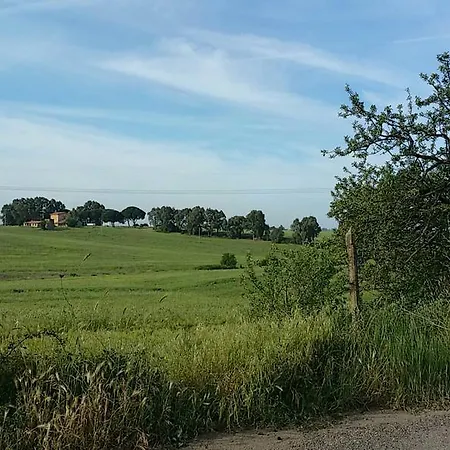 Selvotta